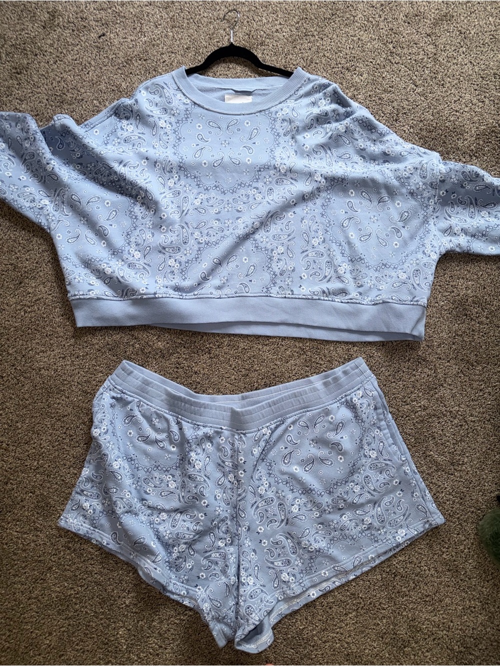 Aerie Light Blue Paisley Lounge Crop Top & Shorts Set